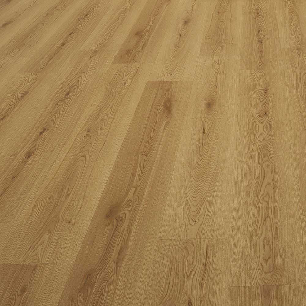 The Onn:Trend Collection